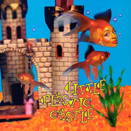 Ani Difranco/Little Plastic Castle (25th An