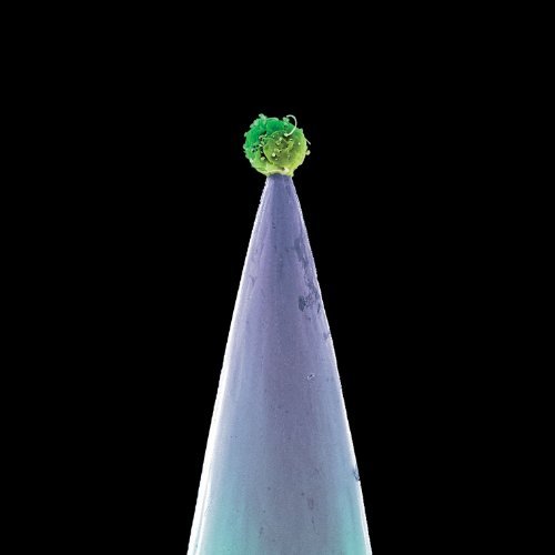 Peter Gabriel/New Blood: Live In London Spec@2 Cd/Deluxe Ed.