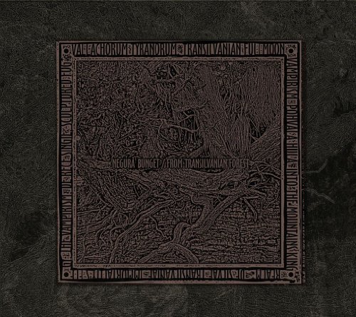 Negura Bunget/From Transilvanian Forest