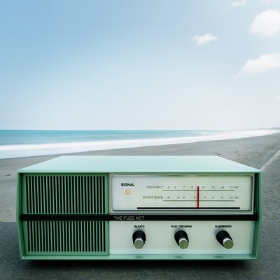The Fuzz Act/Signal@RSD JP Exclusive
