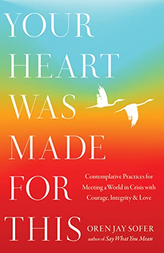 Oren Jay Sofer Your Heart Was Made For This Contemplative Practices For Meeting A World In Cr 