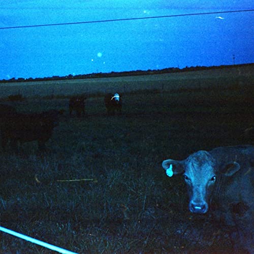 waveform*/Antarctica (Dark Blue Vinyl)@Explicit Version@Amped Exclusive