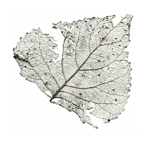 The Telescopes/Hungry Audio Tapes (Milky Clear Vinyl)@RSD UK Exclusive