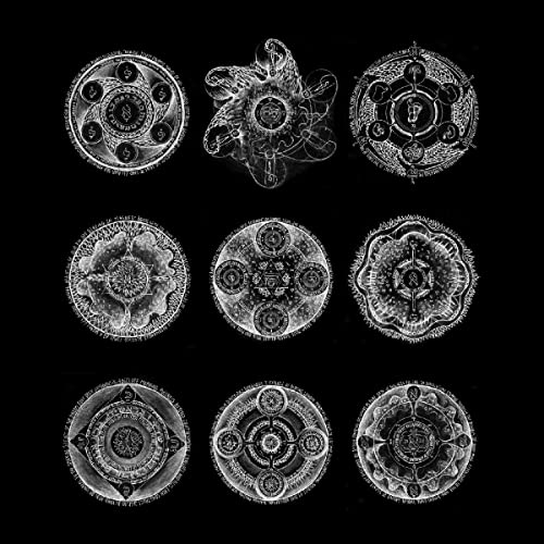 John Zorn & Bill Laswell/Memoria