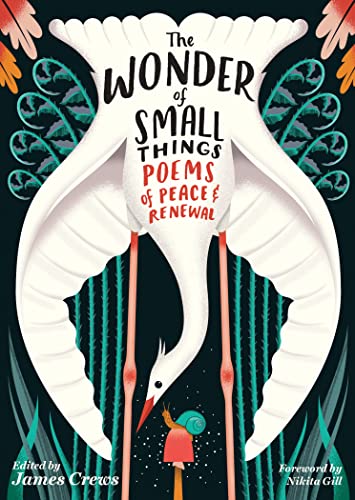 James Crews/The Wonder of Small Things@Poems of Peace & Renewal