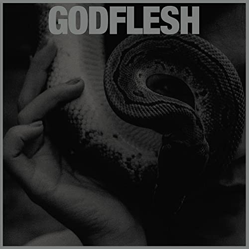 Godflesh/Purge