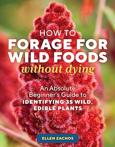 Ellen Zachos/How to Forage for Wild Foods without Dying@An Absolute Beginner's Guide to Identifying 35 Wild, Edible Plants