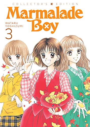 Wataru Yoshizumi/Marmalade Boy@ Collector's Edition 3