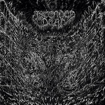 Ascended Dead/Evenfall Of The Apocalypse - S@Amped Non Exclusive