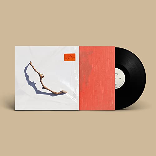 PJ Harvey/I Inside the Old Year Dying