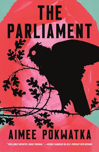 Aimee Pokwatka/The Parliament