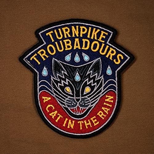 Turnpike Troubadours/A Cat In The Rain