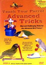 Feathered Phonics/Teach Your Parrot Series Dvd 4