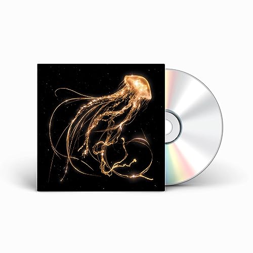 Royal Blood/Back To The Water Below