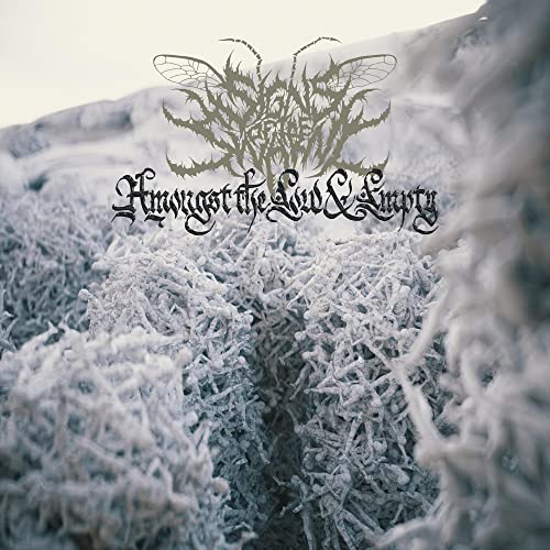 Signs Of The Swarm/Amongst The Low & Empty (Aqua Vinyl)