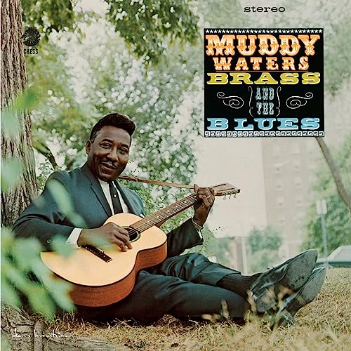 Muddy Waters/Muddy, Brass & The Blues@LP