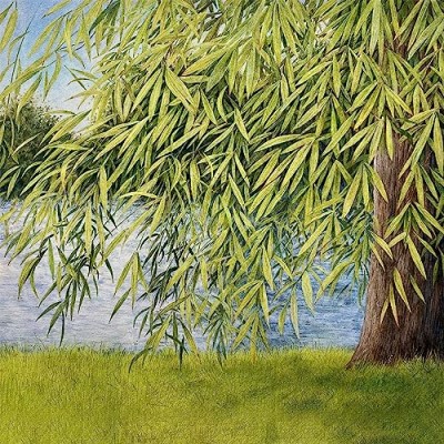 Martin Simpson & Thomm Jutz/Nothing But Green Willow : The Songs Of Mary Sands & Jane Gentry