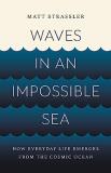 Matt Strassler Waves In An Impossible Sea How Everyday Life Emerges From The Cosmic Ocean 