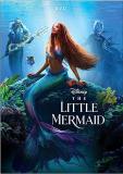 Little Mermaid (2023) Little Mermaid (2023) 