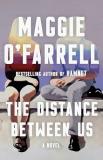 Maggie O'farrell The Distance Between Us 