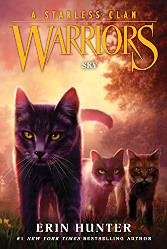 Erin Hunter/Warriors: A Starless Clan #2@Sky