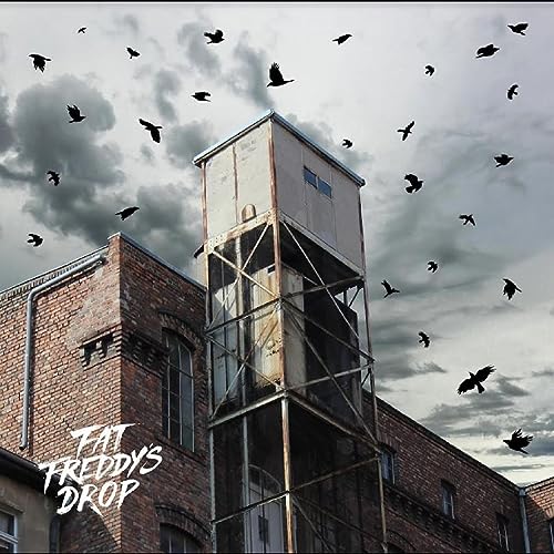 Fat Freddy's Drop/Blackbird Returns