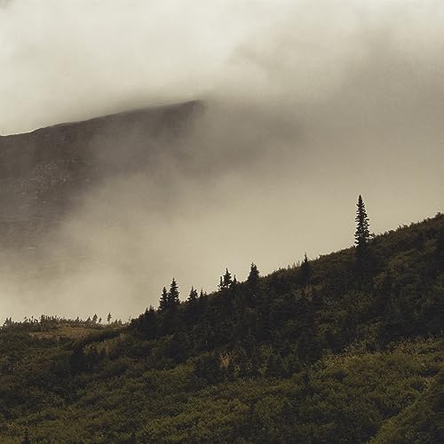 Lord Buffalo/Tohu Wa Bohu