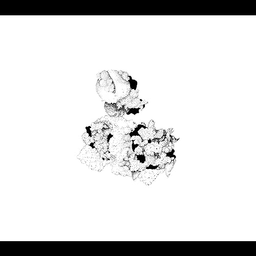 Anna Webber & Matt Mitchell/Capacious Aeration