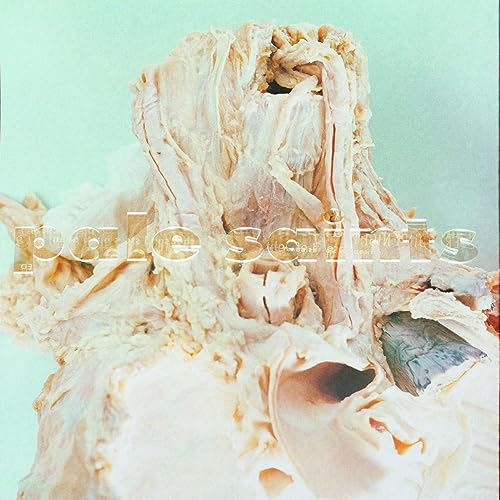 Pale Saints/In Ribbons (Deluxe Edition) (Pigment Free Vinyl)@2LP