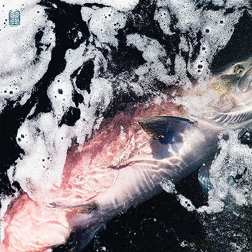 Kenney,Jessike / Kang,Eyvind/Azure@Amped Exclusive