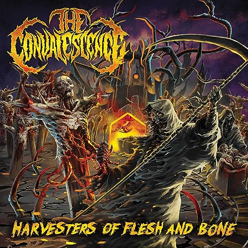 Convalescence/Harvesters Of Flesh And Bone@Amped Exclusive