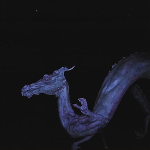 blue smiley/ok@180g w/ download card