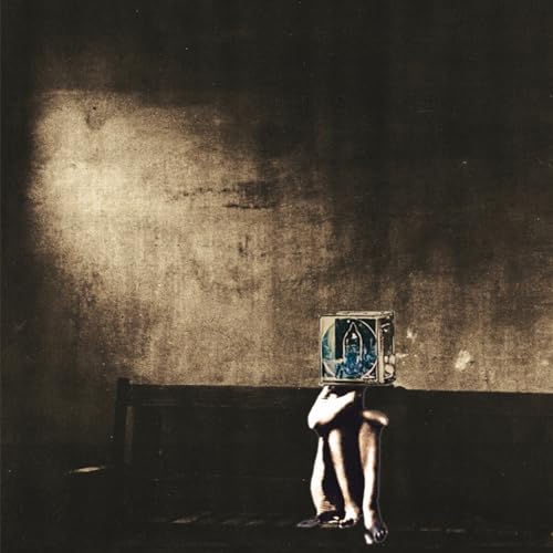 Polyphonic Spree/Salvage Enterprise