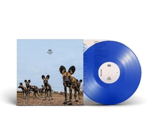 Balthazar/Fever (Transparent Blue Vinyl)
