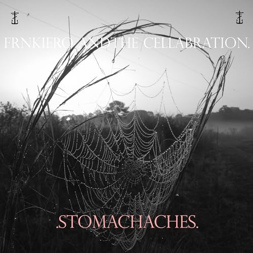 frnkiero & the cellabration/Stomachaches