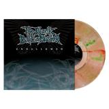 The Black Dahlia Murder/Unhallowed (Green Red Smoke Vinyl)
