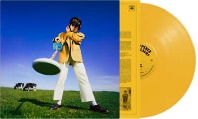 Declan McKenna/What Happened to the Beach? (Yellow Vinyl)@Indie Exclusive