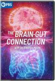 Brain Gut Connection With Dr E Brain Gut Connection With Dr E 