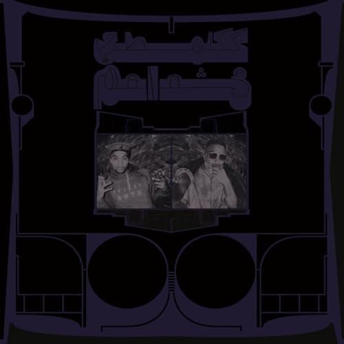 Shabazz Palaces/Exotic Birds of Prey