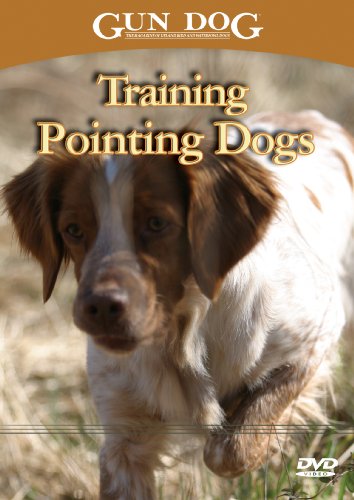 Gun Dog Staff Gun Dog Staff/Training Pointing Dogs