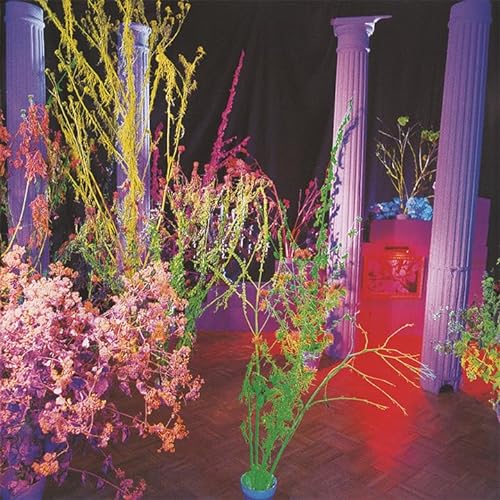 Husker Du/Warehouse: Songs & Stories