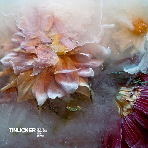 Tinlicker/Cold Enough For Snow@Amped Exclusive