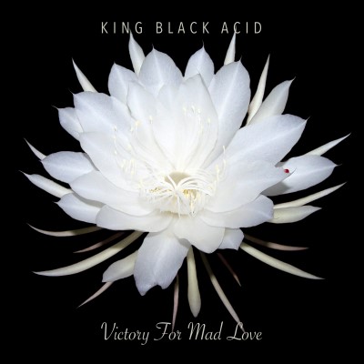 King Black Acid/Victory For Mad Love (Black Vinyl)@RSD Exclusive / Ltd. 500