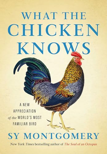 Sy Montgomery/What the Chicken Knows@ A New Appreciation of the World's Most Familiar B