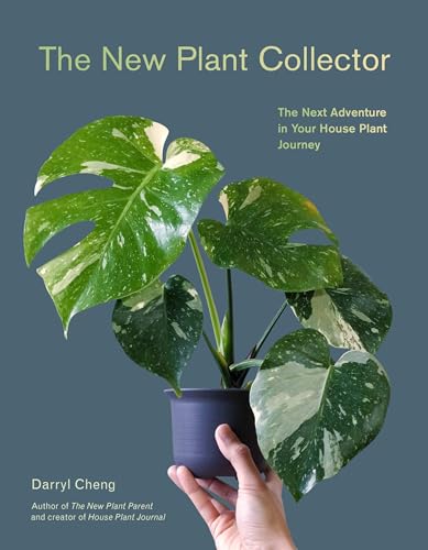 Darryl Cheng/The New Plant Collector@The Next Adventure in Your House Plant Journey