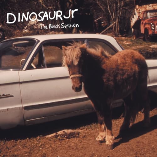 Dinosaur Jr./Black Session: Live In Paris 1