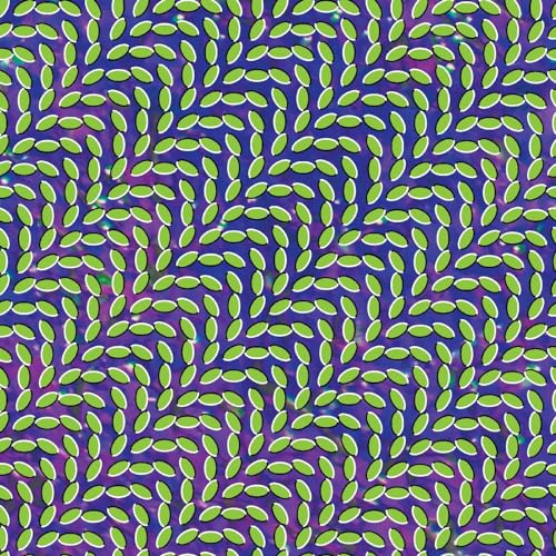 Animal Collective/Merriweather Post Pavilion (BLUISH & TRANSLUCENT GREEN VINYL)@15th Anniversary Edition@2LP w/ download card