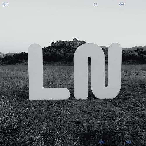 Local Natives/But I'll Wait For You