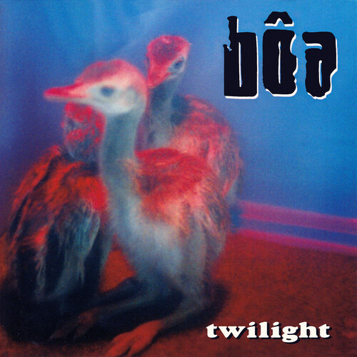 Boa/Twilight@Amped Exclusive