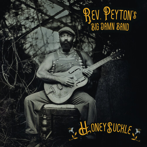 Reverend Peyton's Big Damn Ban/Honeysuckle@Amped Exclusive